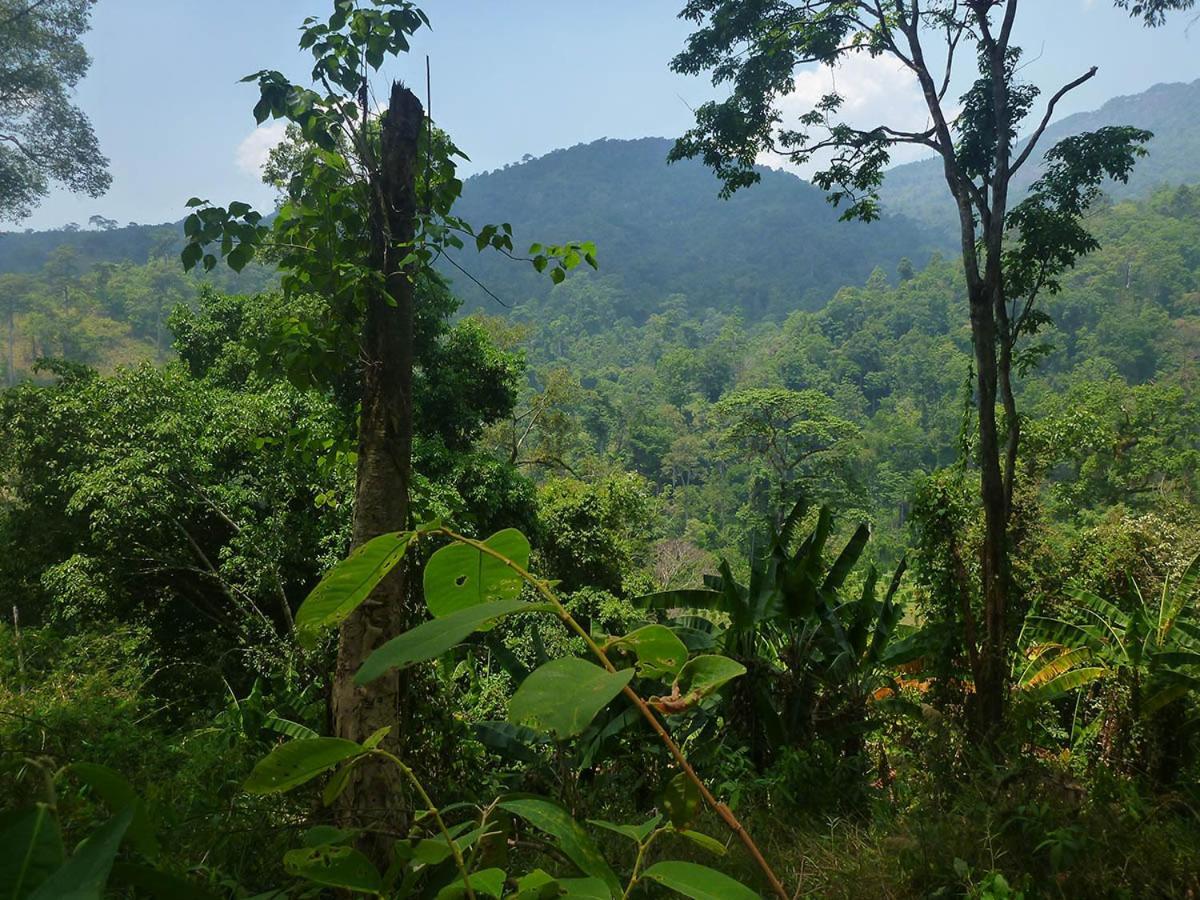 Hidden Valley Bungalows Baan Tai Luaran gambar