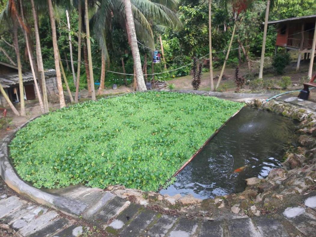 Hidden Valley Bungalows Baan Tai Luaran gambar